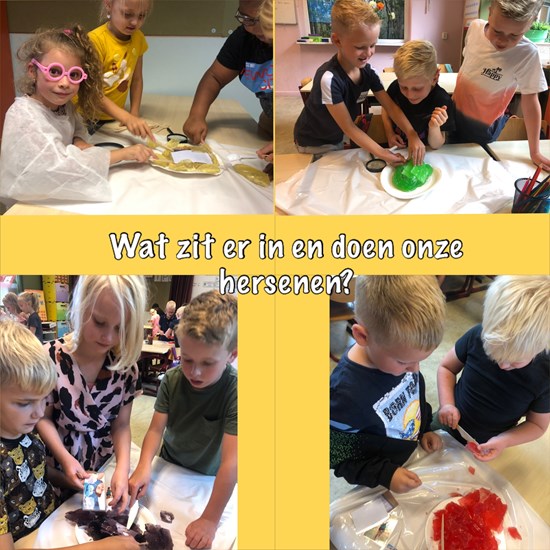 Groep 3/4