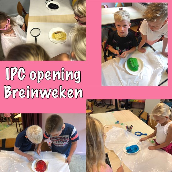 Groep 3/4 IPC