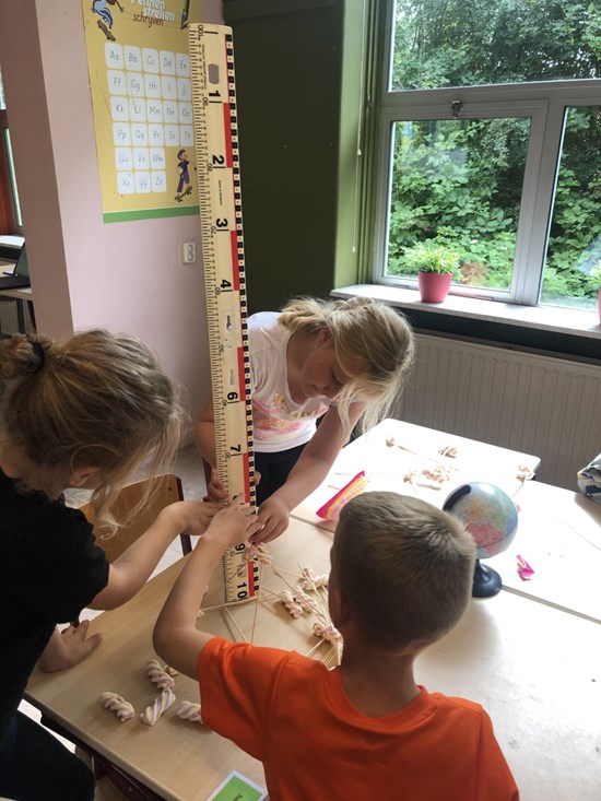 Groep 5/6